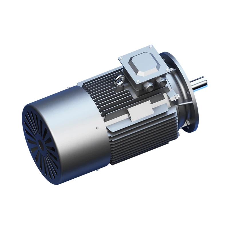 IP55 Permanent Magnet Motor
