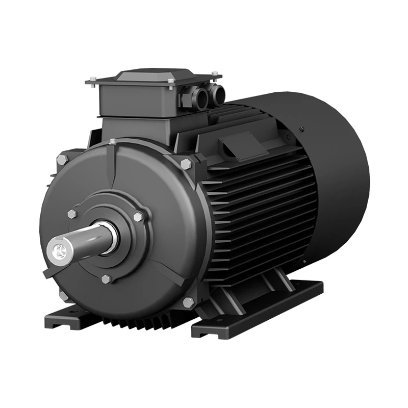 High Efficiency Permanent Magnet Synchronous Motor
