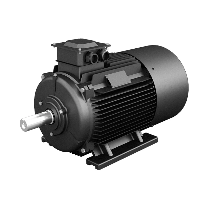 High Efficiency Three-Phase Permanent Magnet Synchronous Motor