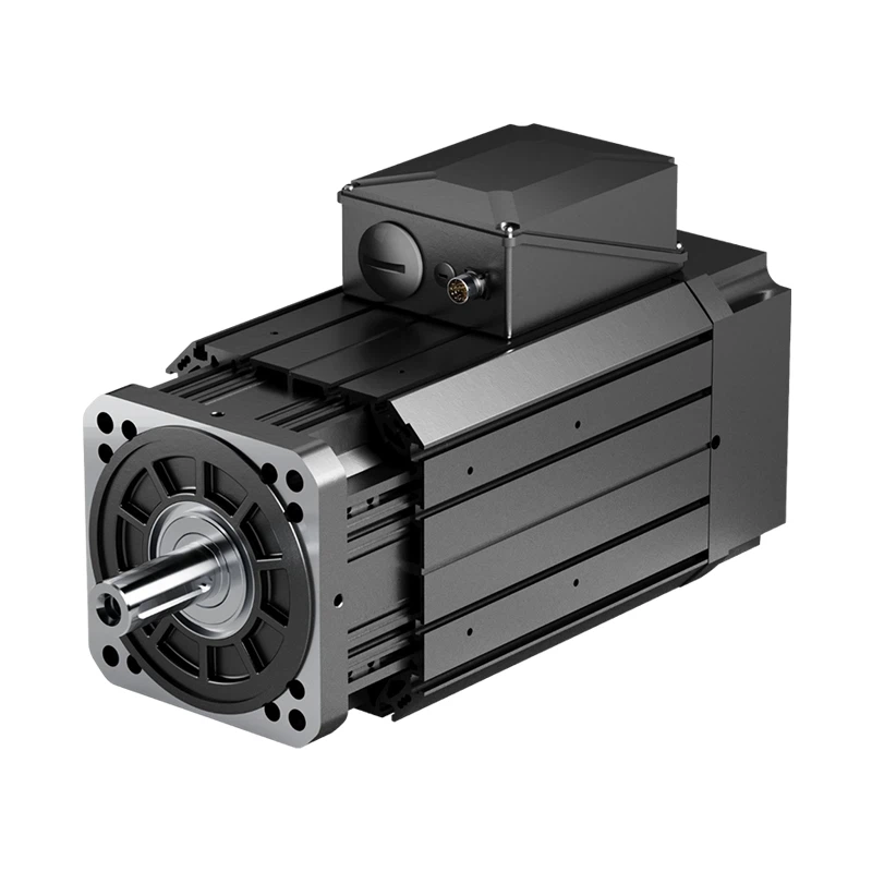 Permanent Magnet Servo AC Motor