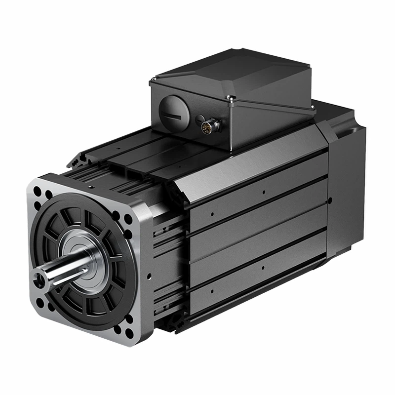 Permanent Magnet Synchronous Servo AC Motor