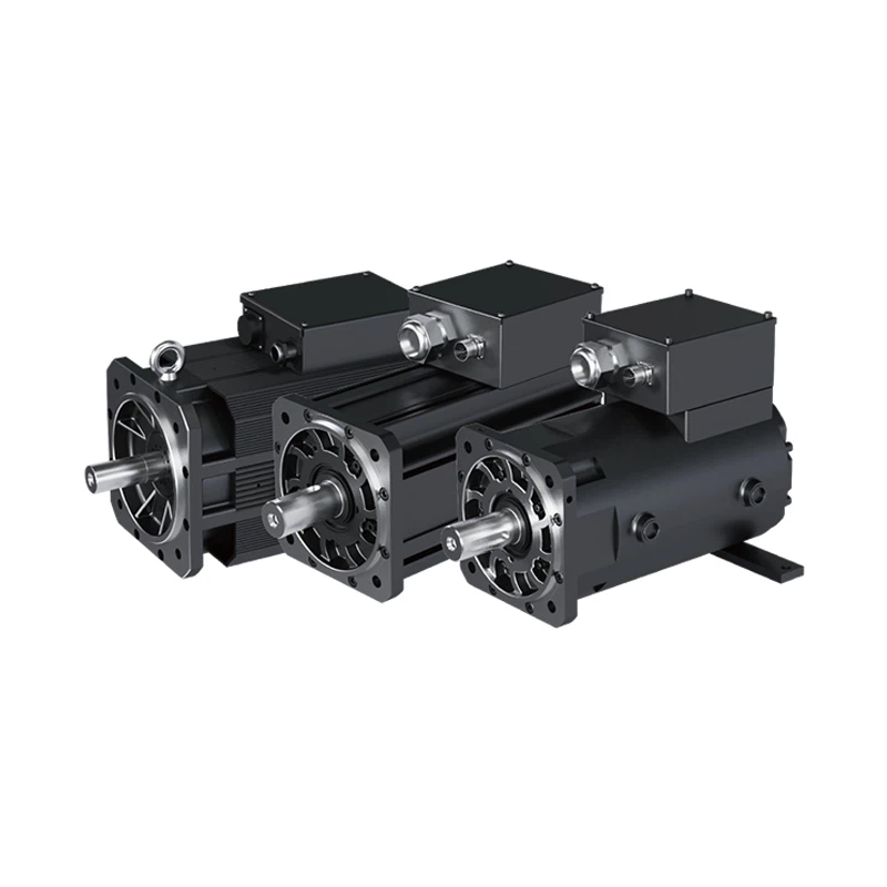 Automatic Special Servo Motor