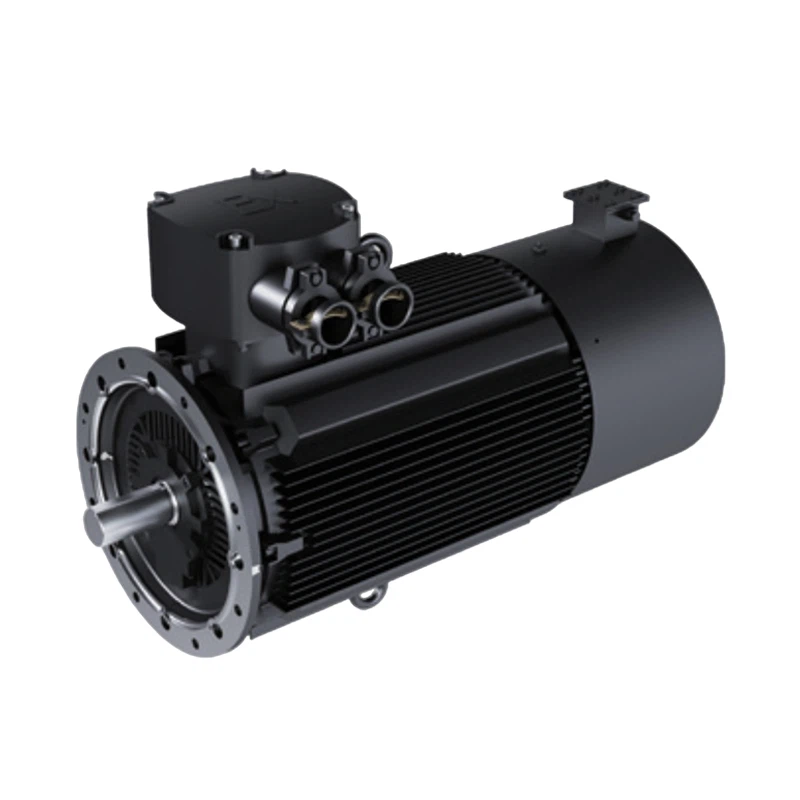 Permanent Magnet Explosion-Proof Motor