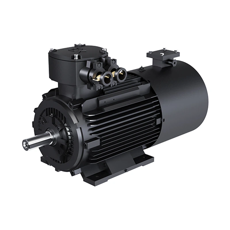 Permanent Magnet Explosion-Proof Machine