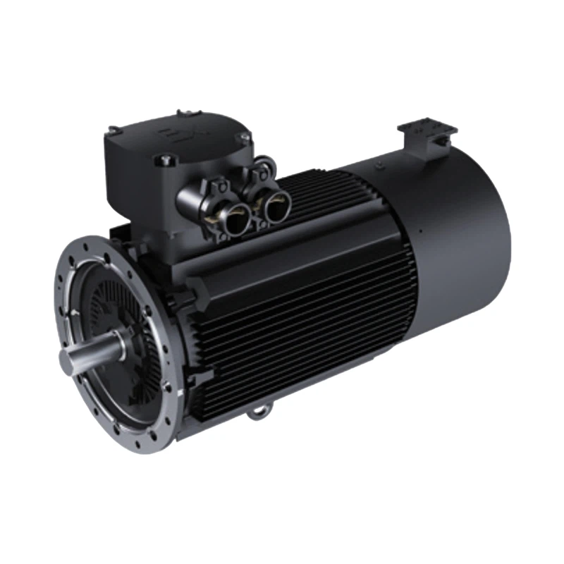 Permanent Magnet Explosion-Proof Motor For Oil And Gas