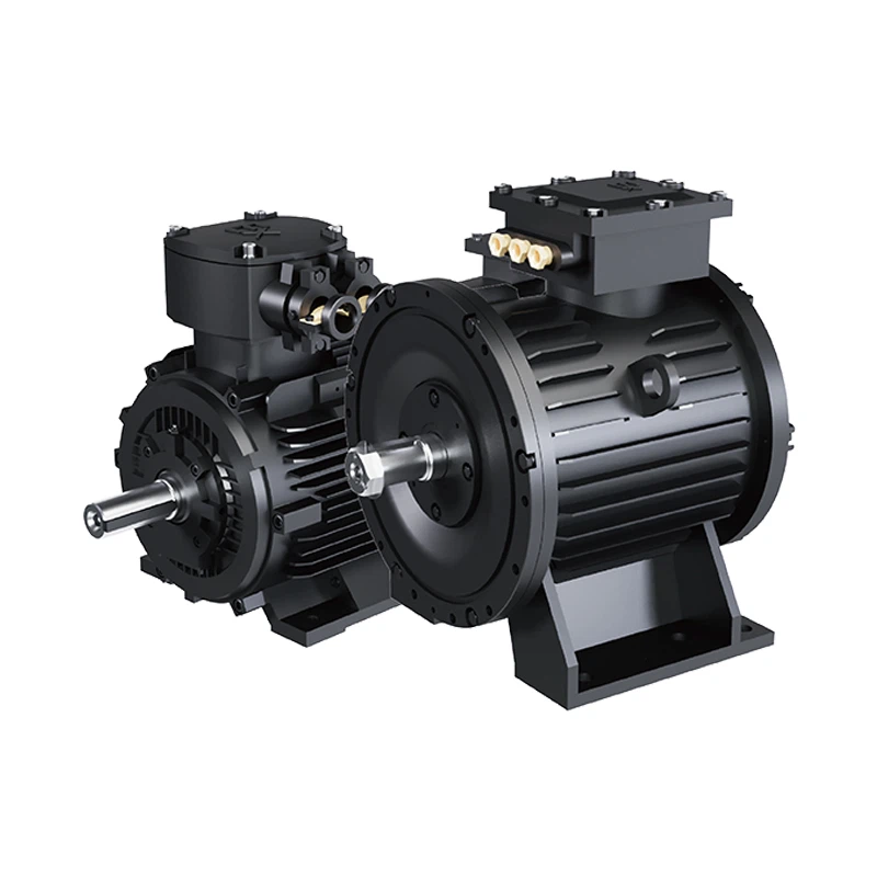 Flameproof Permanent Magnet Synchronous Traction Motor