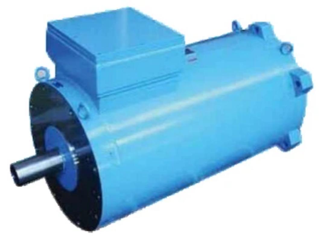 OMW Series Asynchronous Propulsion Motors